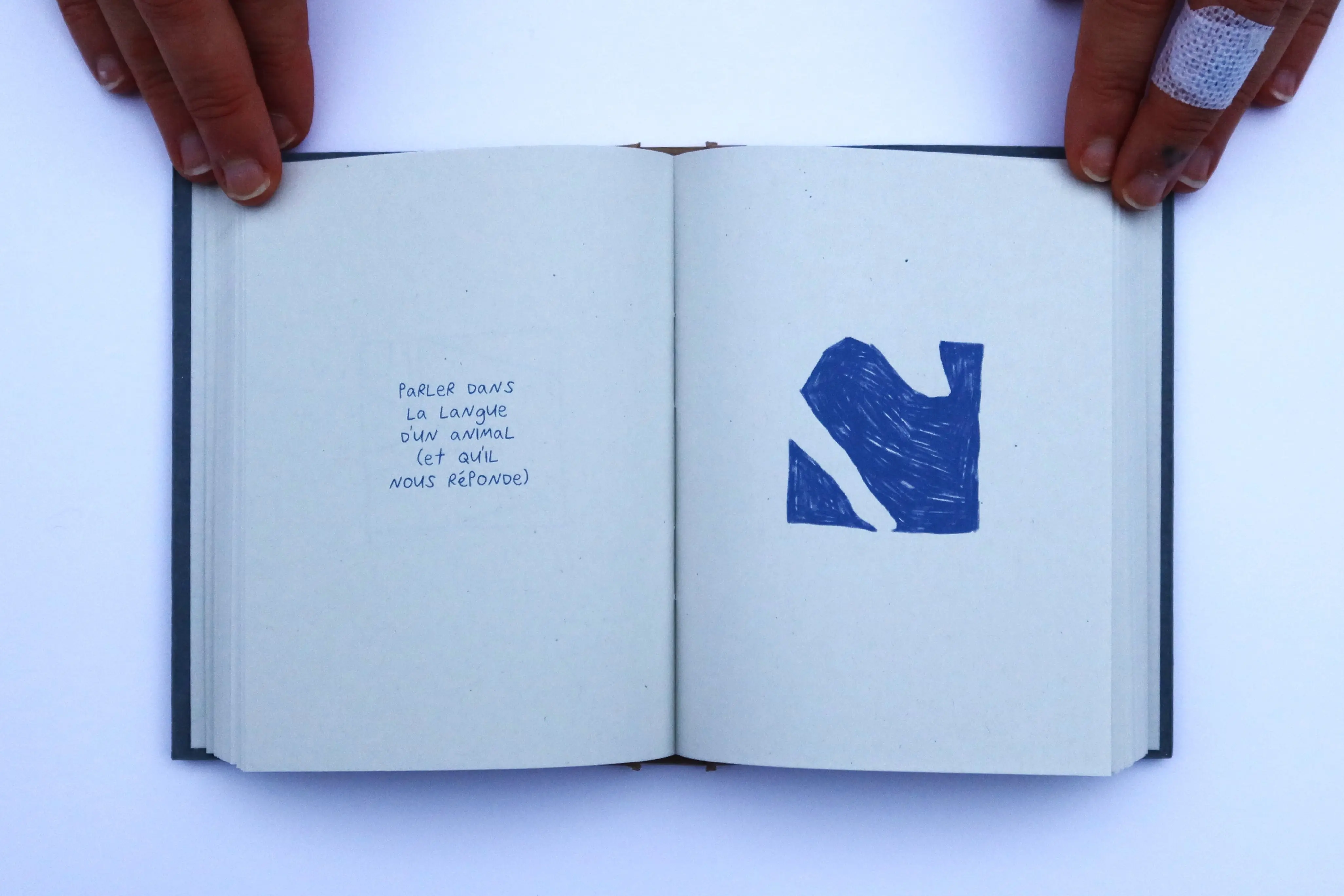 une photo du livre ouvert Choses Chouettes
